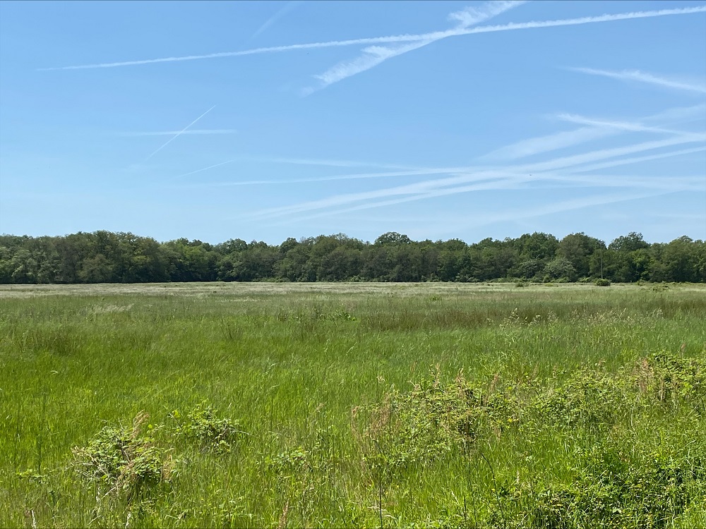 Projet agrivoltaïque de Vallières-les-Grandes