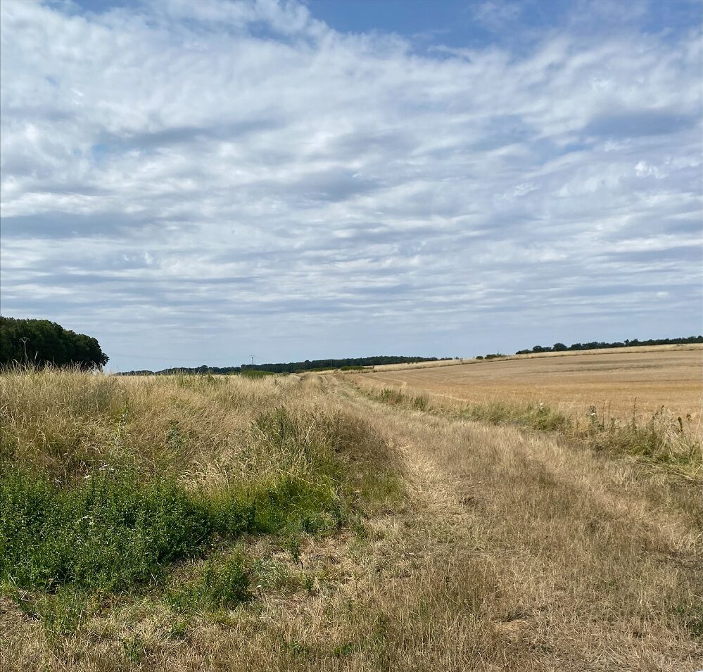 Photo-parcelle agri